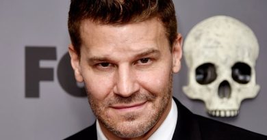 David Boreanaz